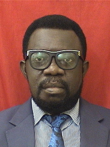 Engr. Prof. Mike Agbesi Acheampong